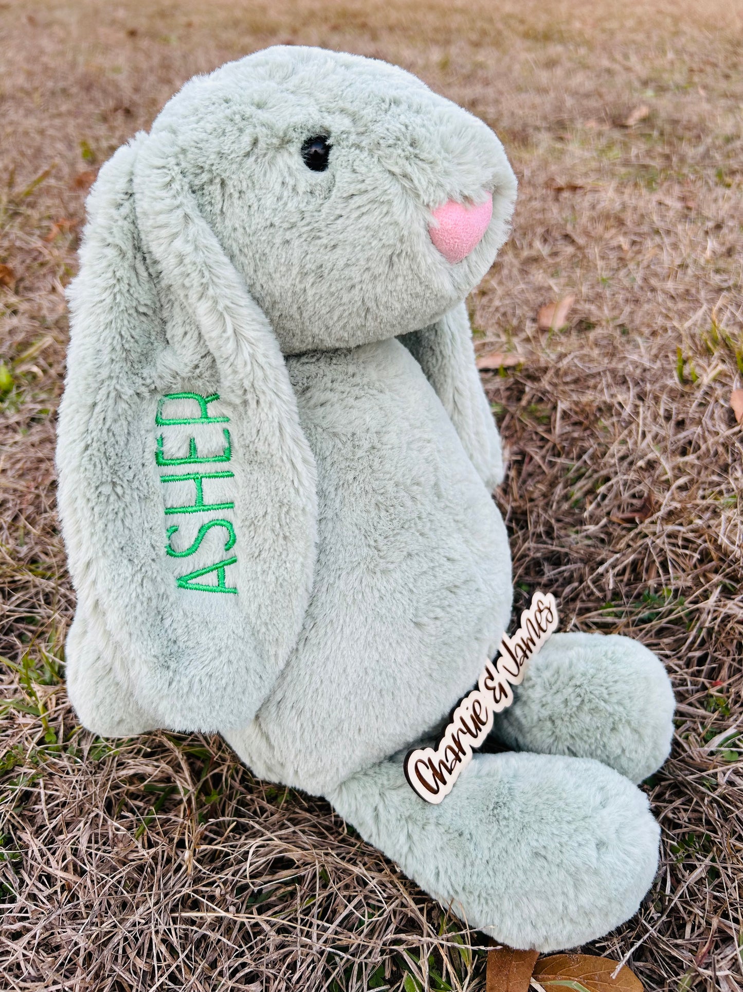 Plush Bunny with Embroidery